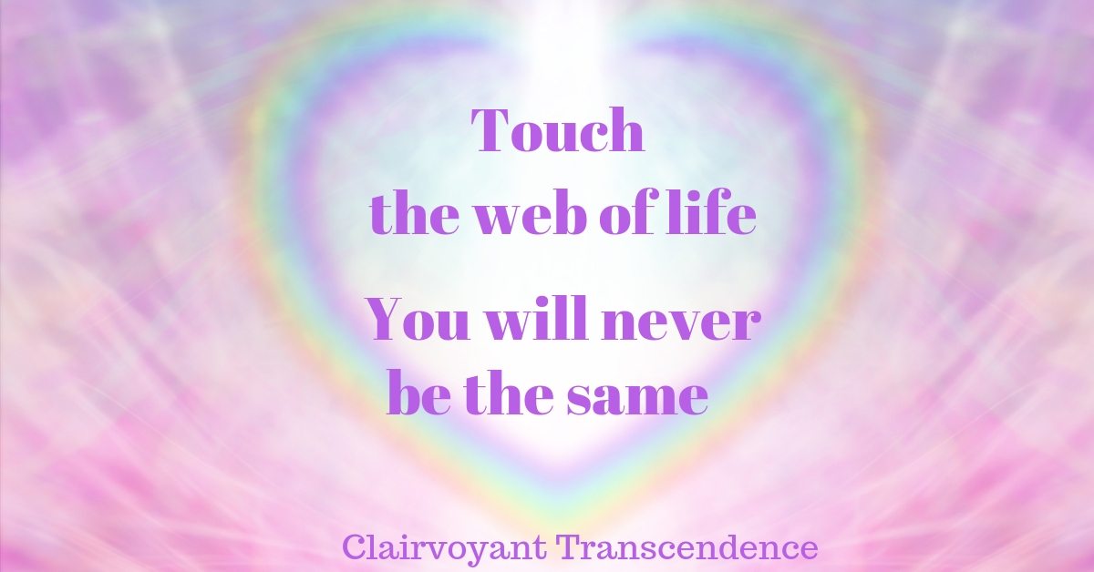 touch the web of life